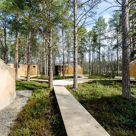 Glod Aurora Canvas Dome Alta Dış mekan fotoğraf