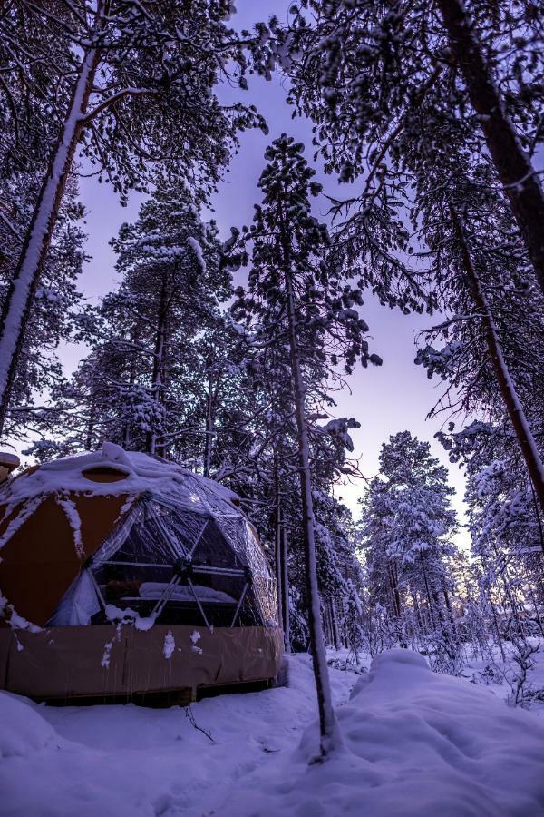 Glod Aurora Canvas Dome Alta Dış mekan fotoğraf