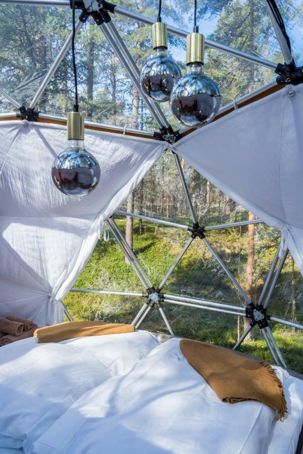 Glod Aurora Canvas Dome Alta Dış mekan fotoğraf